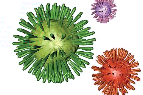 Viruses: These clever parasites!