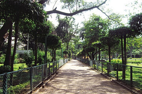 Coles Park: A park right out of history