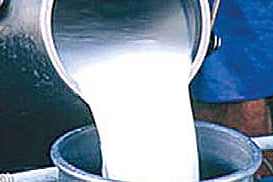 Danger on Platter: Milk, Butter, Ghee too Fall Foul of Standards
