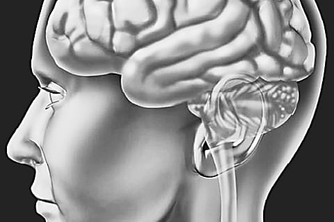 Keep your brain healthy