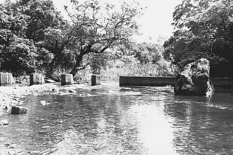 Kollur: In the lap of nature’s bounty