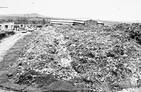 BCC to make power from waste