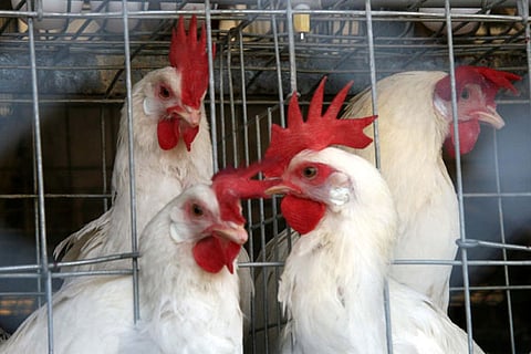 File photo for representation purpose only.