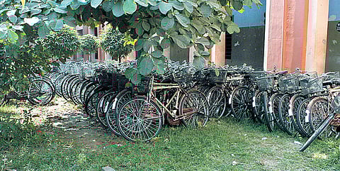 Free cycles rust in school