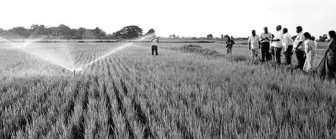 Mobile sprinklers come as saviours of Samba