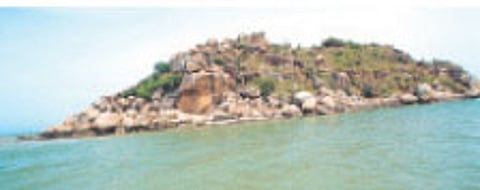 Exit winged guests, enter dead dinosaurs!