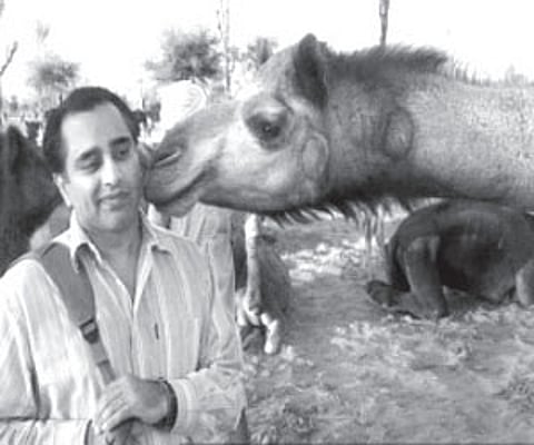 Here’s the comedy centre