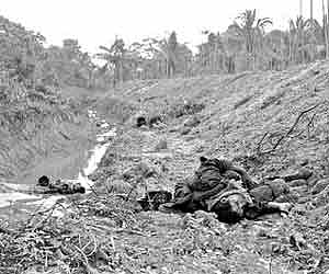Lankan soldiers lie dead at the ditch-cum-mud-wall defences