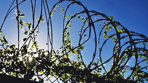 Image used for representational purposes only.