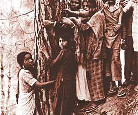 Women embrace Chipko in Japan