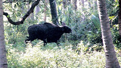 File Image used for representation purpose.