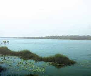 Brand new bridge soon