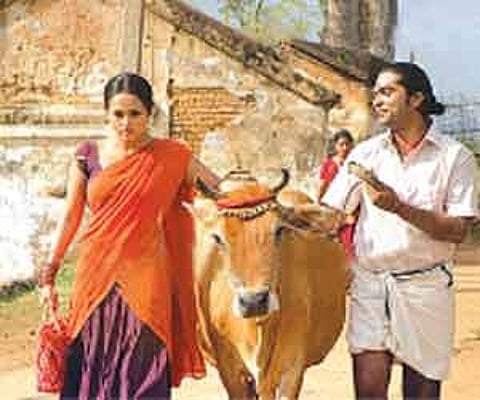 A feast for the movie buffs