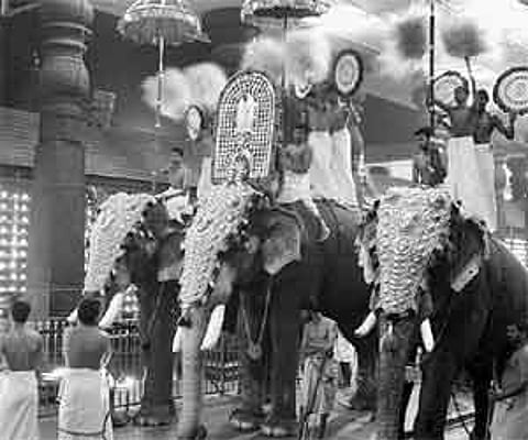 Gajaratnam Guruvayur Padmanabhan carrying the Swarnakolam and Thidambu of Sree Guruvayurappan during the Ashtami Vilakku ezhennellippu at Sree Krishna