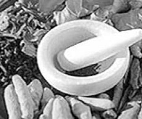 Mega plan to grow herbal plants in 360 hectares