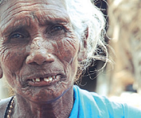 Can we really say no to polls?