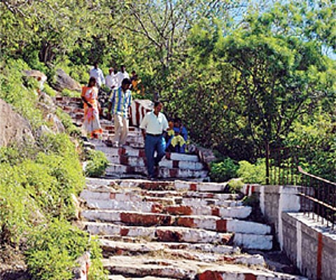 Climb up the fitness ladder