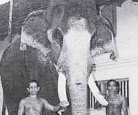 A file photo of Guruvayur Keasvan