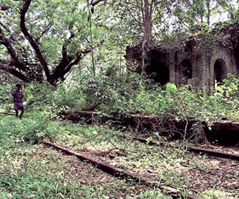 Jipson Sikhera