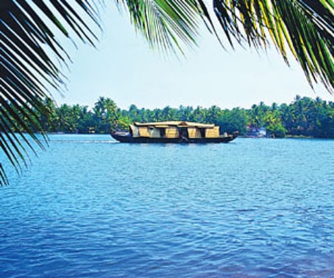 Rejuvenate your senses