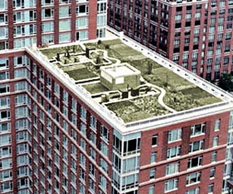 Spotlight on low-height parapet walls