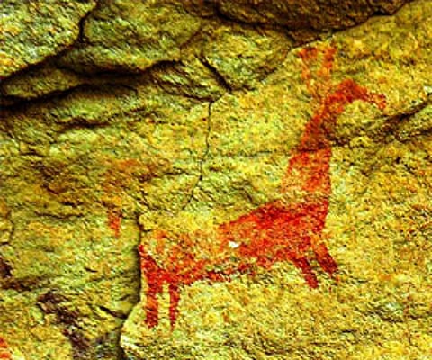 The images emerged from ancient rock paintings in Amravati, Maharashtra. (IANS Photo)