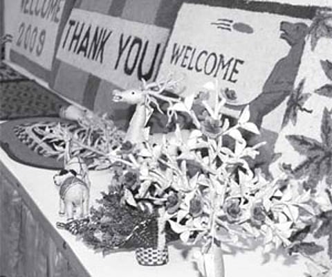 Pic: P K Jeevan Jose