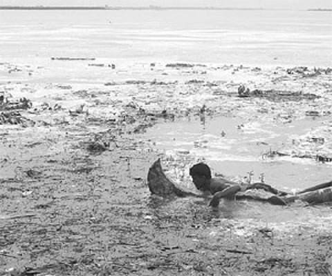 person trying to retrieve firewood from the Godavari in Rajahmundry on Sunday.