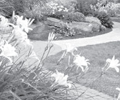 Pave it with granite