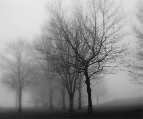 Winter till February