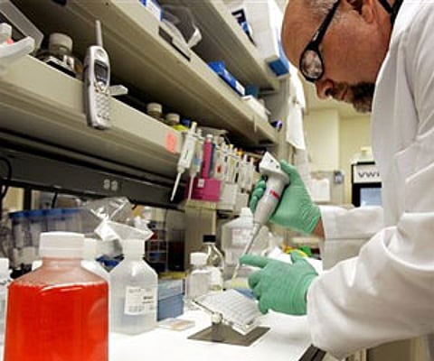 Hope for cancer cure in Tibetan medicine