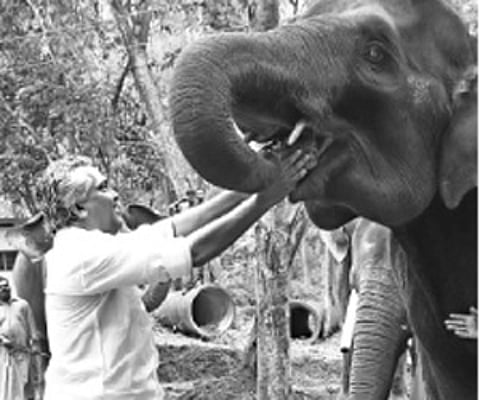 Express Forest Minister Binoy Viswam giving food to elephants at the Kappukad Elephant Rehabilitation Centre near Kottur in Thiruvananthapuram.