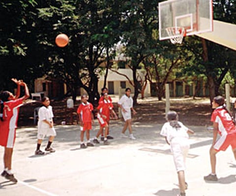 ‘Married to basketball’