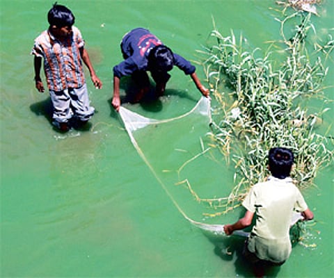 Children fishing in the Ulsoor Lake.