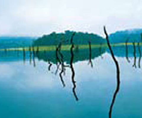 Thekkady: Boat services to be resumed soon