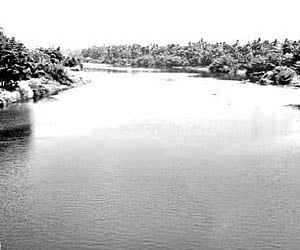 Bacteria in the Pampa river