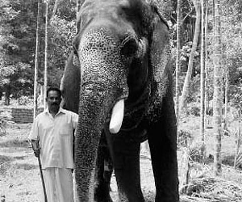 Alby with his elephant Bolo Prasad.