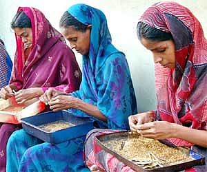 Women engaged in rolling beedis at Melapalayam in Tirunelveli district
