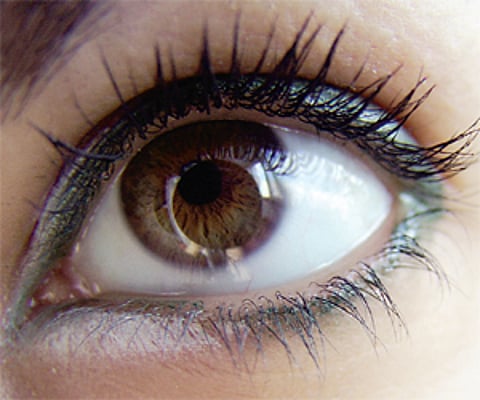 Raise a toast to good health