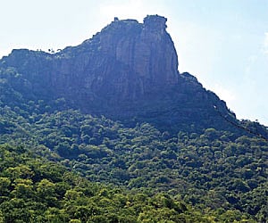A view of Parvathamalai