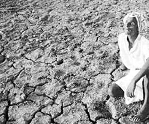 Crop failure pushes farmers to debt and death