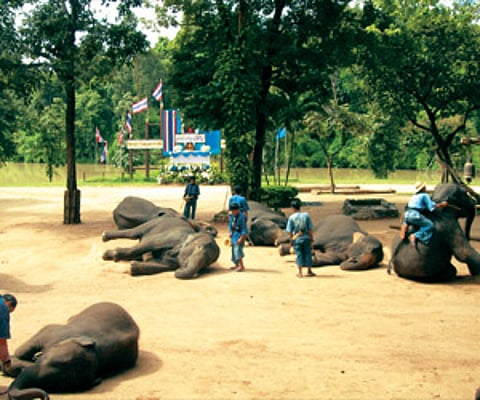 Escape from the bang