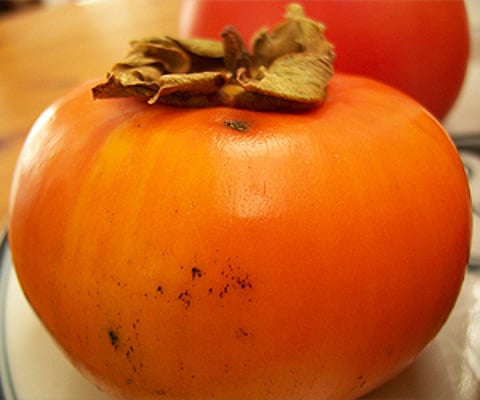 Persimmon fruit. (Image reproduced as per Wikimedia Commons license.)