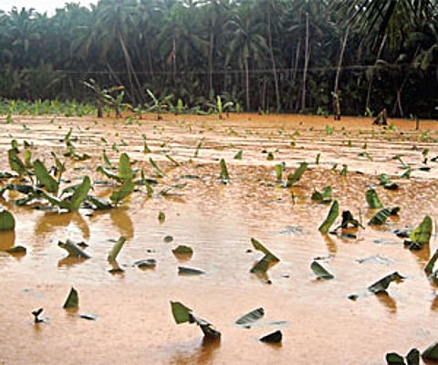 Now call captain Dr Vijayakanth