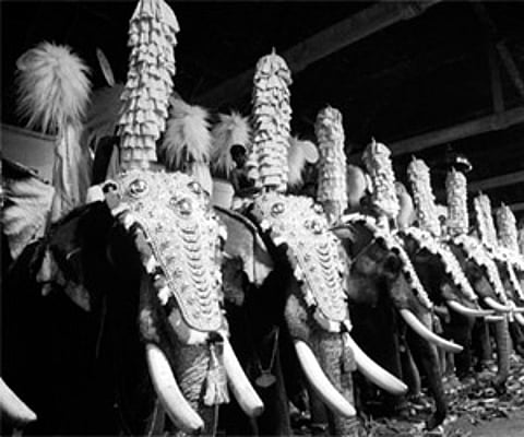 Thrikketta Purappadu today