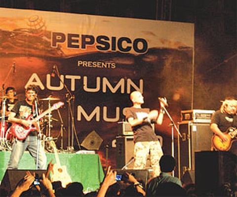 Avial: Perfect blend of south and north