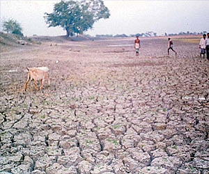 Normal rainfall for July has been downwardly revised to 352.2 mm from the previous 383.4 mm.