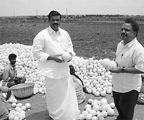 Horticulture department AD Vidyasagar along with a muskmelon farmer in Anantapur Rural mandal.