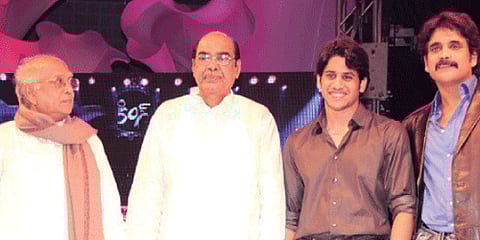 New kid on the block