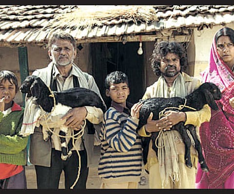 Aamir Khan school of thoughtlesness